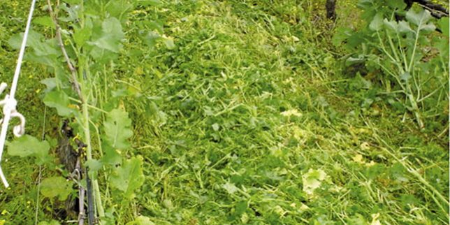 Selecting-a-suitable-